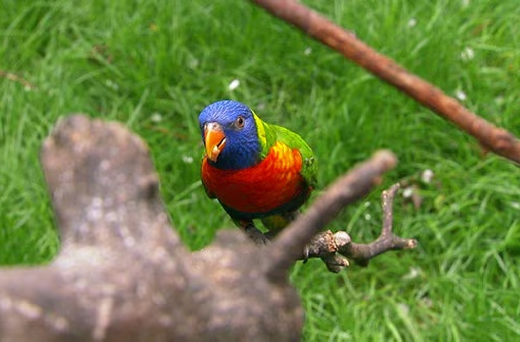 petra friedrich zoo leipzig todesursache